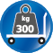 Belastbar bis 300 kg Belastbar bis 300 kg